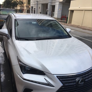 Lexus NX car lease transfer PLANTATION FL