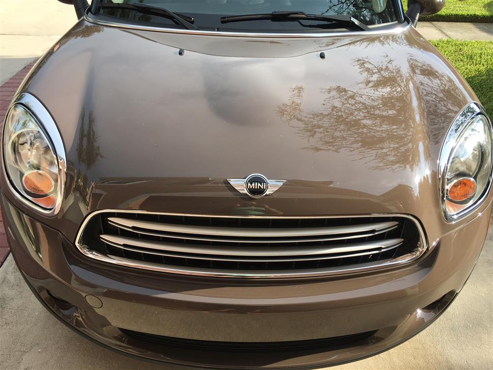 Mini Cooper car lease takeover deals Wesley Chapel FL